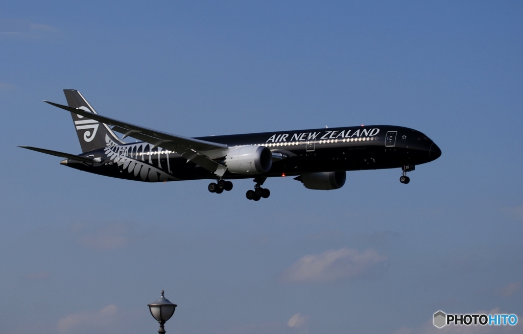 Air New Zealand「All Blacks」787-9