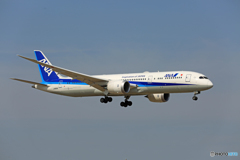 「青が大好き」 ANA 787-9 JA880A Landing 「青が大好き」 ANA 787-9 JA880A Landing