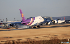 ✈大型機のコラボレーション 「A380/747」 ✈