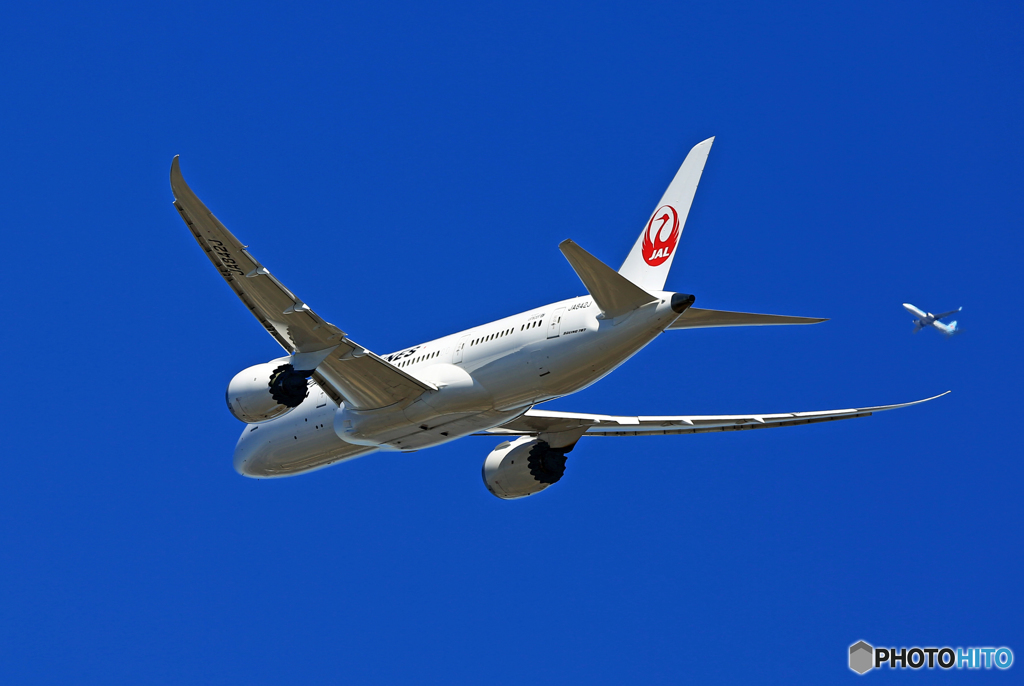 W飛び立ち JAL 787-8 JA842J