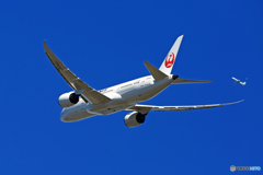 W飛び立ち JAL 787-8 JA842J