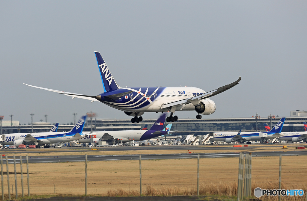 「晴れ」 ANA 787-8 [SABA 2] JA802A　着陸