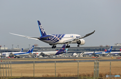 「晴れ」 ANA 787-8 [SABA 2] JA802A　着陸