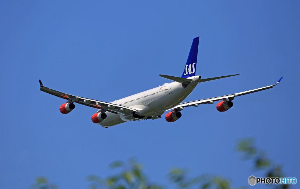  離陸 SAS A340-313 LN-RKF