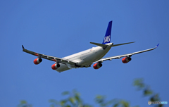  離陸 SAS A340-313 LN-RKF