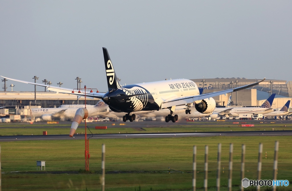 Air New Zealand 787-9 ZK-NZF 到着　