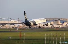 Air New Zealand 787-9 ZK-NZF 到着　