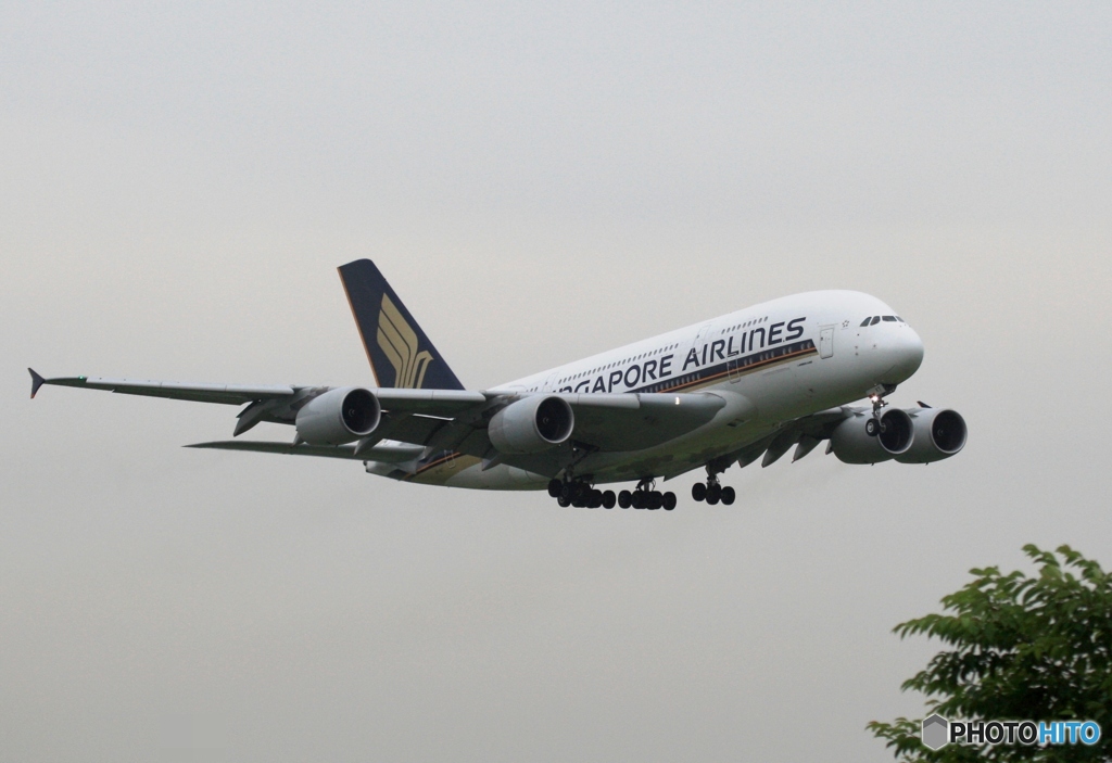 着陸　Singapore A380-841 