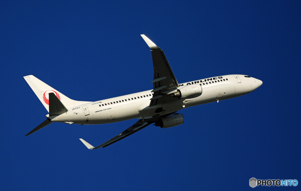 離陸  JAL 737-800 JA312J