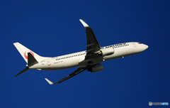 離陸  JAL 737-800 JA312J