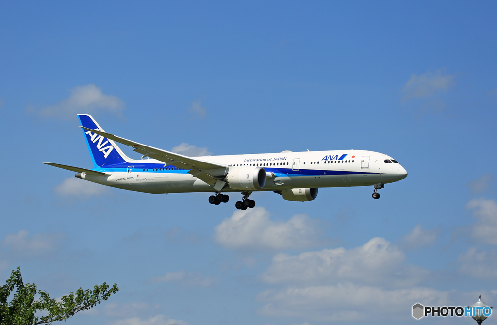 「はれー」 ANA 787-9 JA876A 到着です
