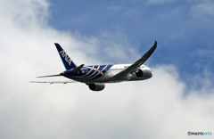 ANA 「さば塗装」787-8 JA802A出発 