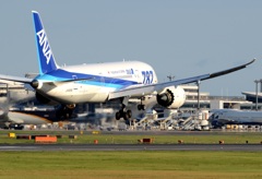 ANA 787-881 