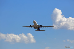 飛行 Air Calin A330-202 F-OJSE