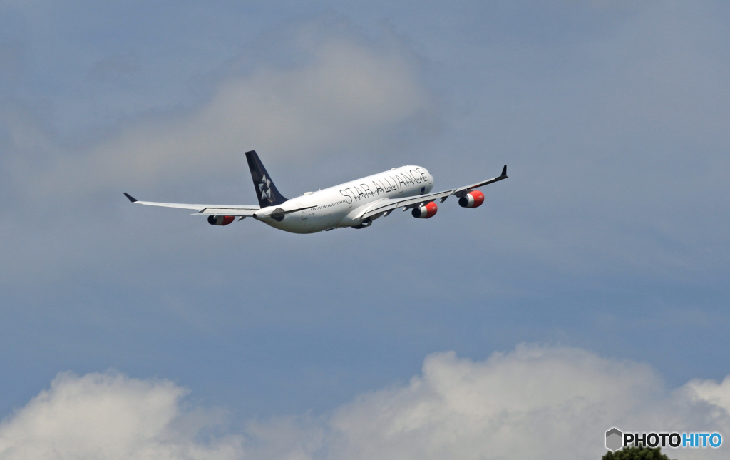 「青い空」SAS STAR A340-313 OY-KBM