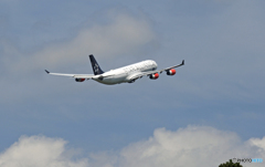 「青い空」SAS STAR A340-313 OY-KBM