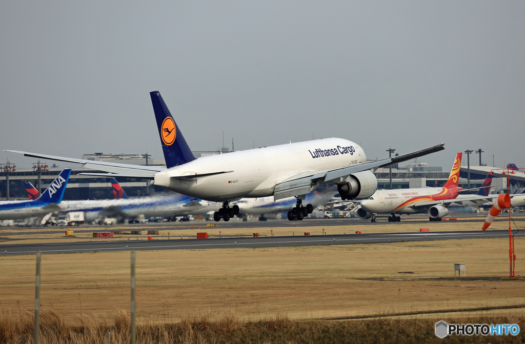 [青い空] Lufthansa Cargo 777-FBT D-ALFC 着陸