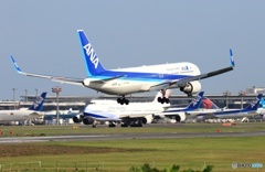 ANA 767-381 着陸 