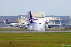 FedEx MD-11 N617FE 着陸  FedEx MD-11 N617FE 着陸