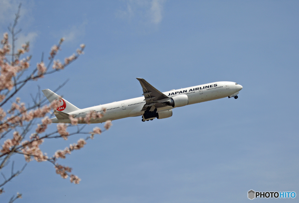 JAL 777-346 JA738J 飛び立ち　