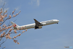 JAL 777-346 JA738J 飛び立ち　