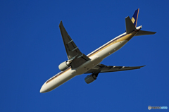 「空色」 Singapore 777-312 9V-SNB飛行