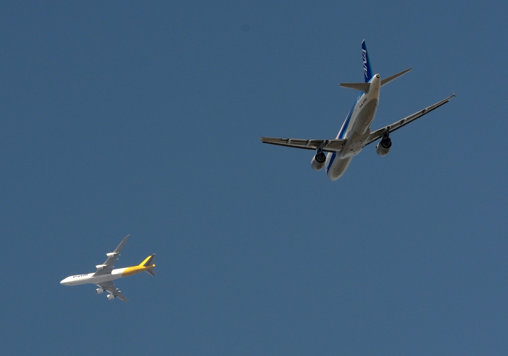 ANA A320 / Polar 同時離陸　あぶない!