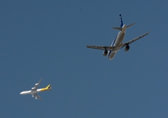 ANA A320 / Polar 同時離陸　あぶない!