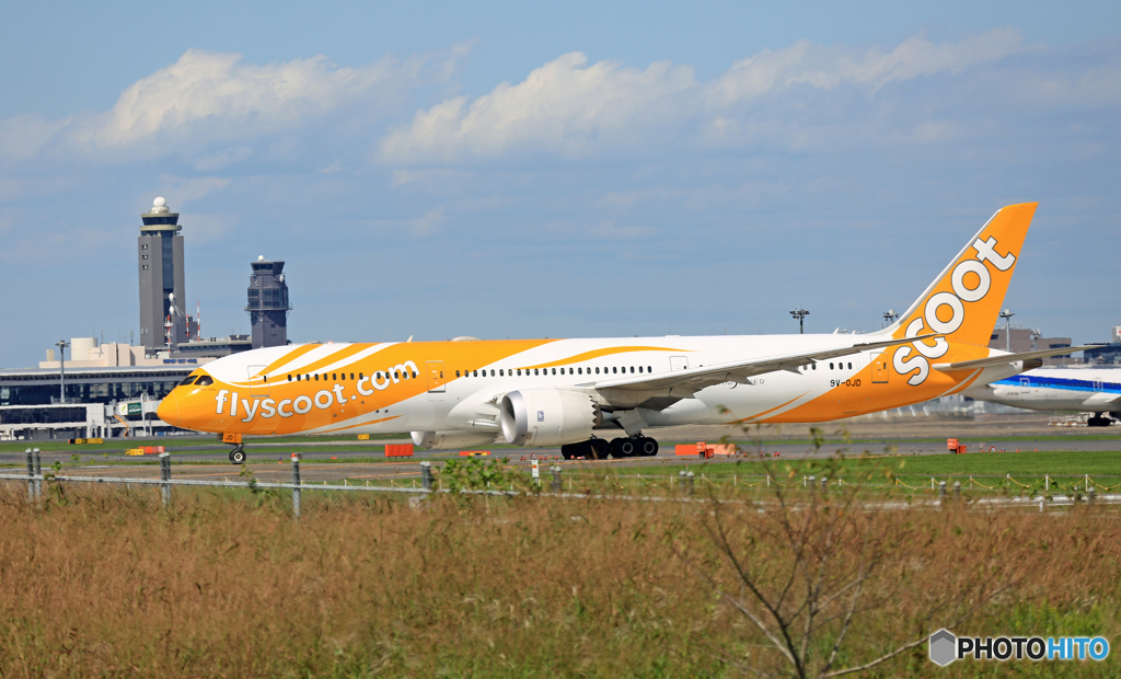 出発 scoot 787-9 9V-OJD 「青い空」