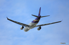 飛び立ち　THAI A330-343 HS-TBA