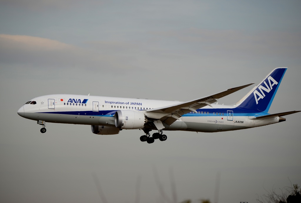 着陸 ANA 787-8