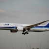 着陸 ANA 787-8