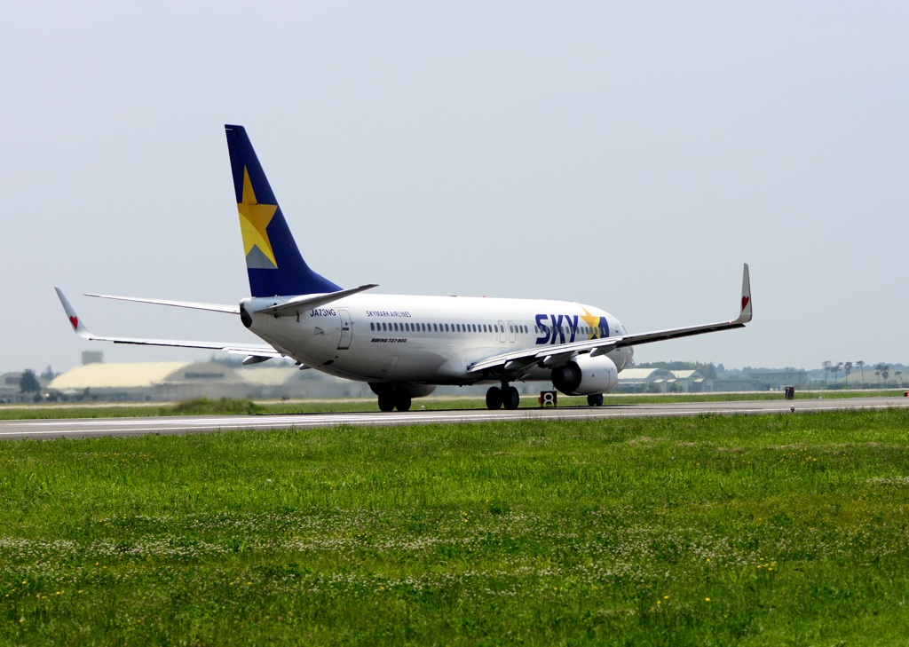 久しぶり　Skymark（２）