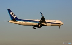 ANA 767-300  着陸　