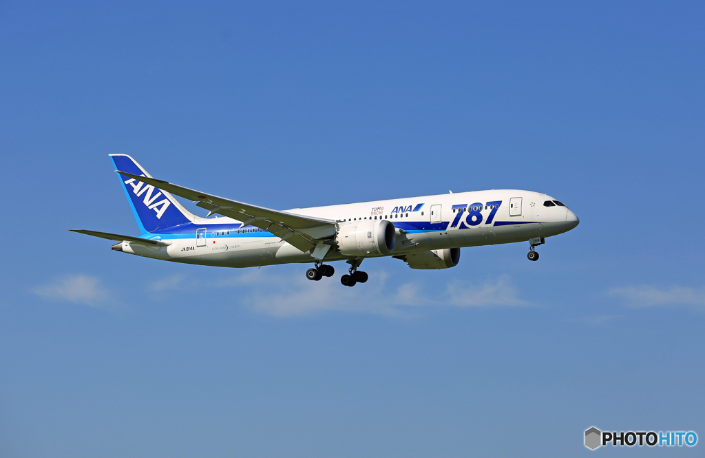 [青空]ANA 787-8 JA814A