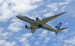 ANA 787-8 JA804A 出発 