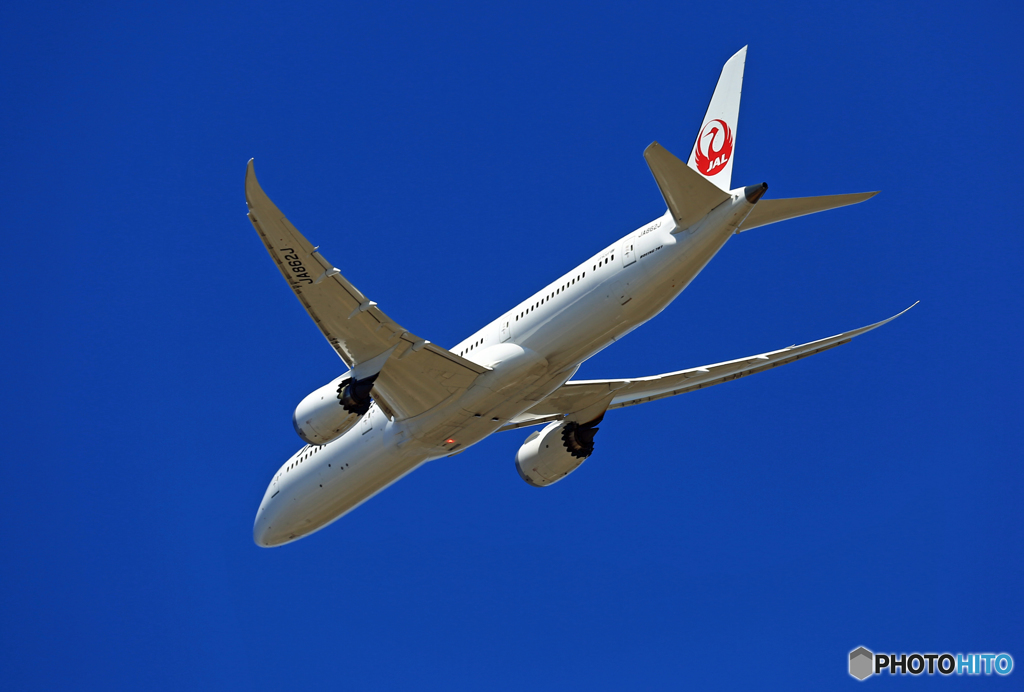 「青い空」が一番 JAL 787-9 JA862J