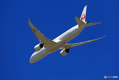 「青い空」が一番 JAL 787-9 JA862J