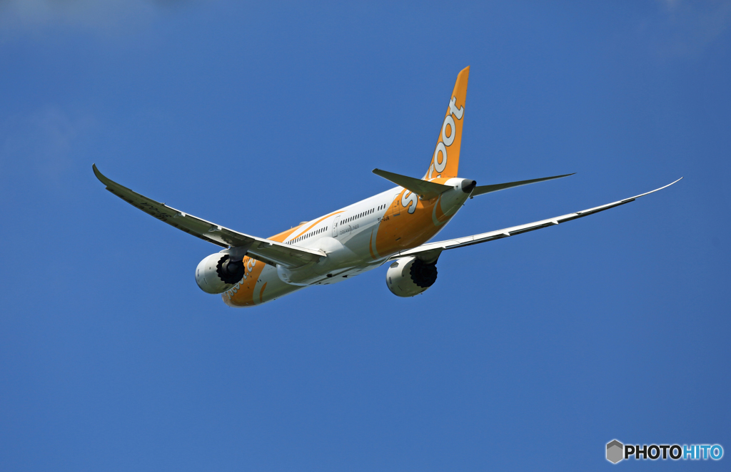 飛び立ち scoot 787-9 9V-OJA