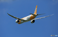 飛び立ち scoot 787-9 9V-OJA