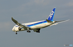 着陸 ANA 787-8 JA823A