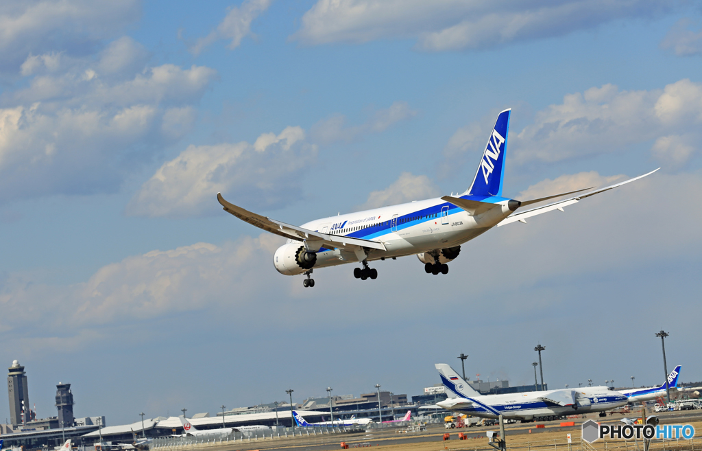 「青空」 ANA 787-8 JA803A ☀
