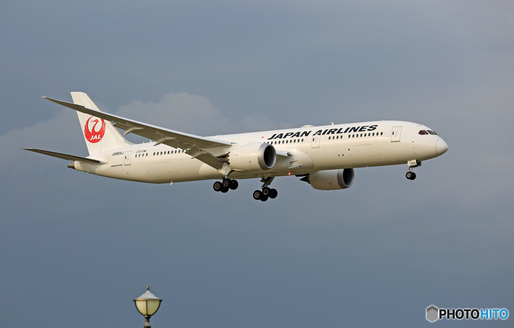 「スカイ」 JAL 787-9 JA865J 着陸