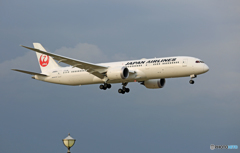 「スカイ」 JAL 787-9 JA865J 着陸 「スカイ」 JAL 787-9 JA865J 着陸