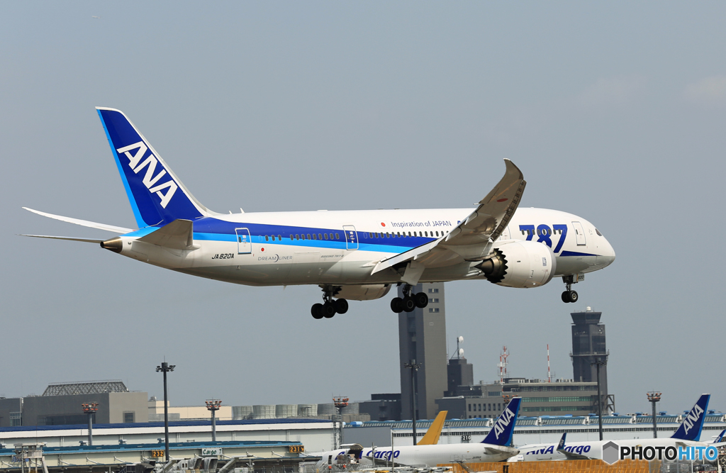 「スカイ」 ANA 787-8 JA820A 着陸