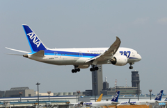 「スカイ」 ANA 787-8 JA820A 着陸 「スカイ」 ANA 787-8 JA820A 着陸