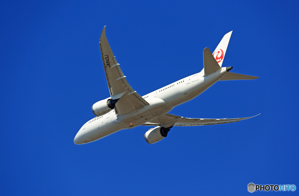 「青空」 JAL 787-8 JA843J飛行