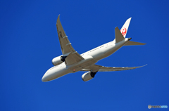 「青空」 JAL 787-8 JA843J飛行