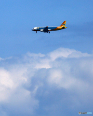 「そらー」 CEBU HENANN A320-214