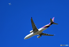 空色「W離陸」THAI A330-343 HS-TBD